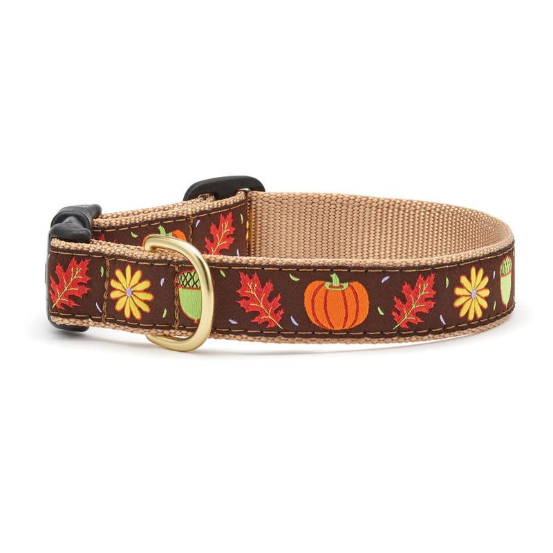 Harvest Time Collar : Wide, XL
