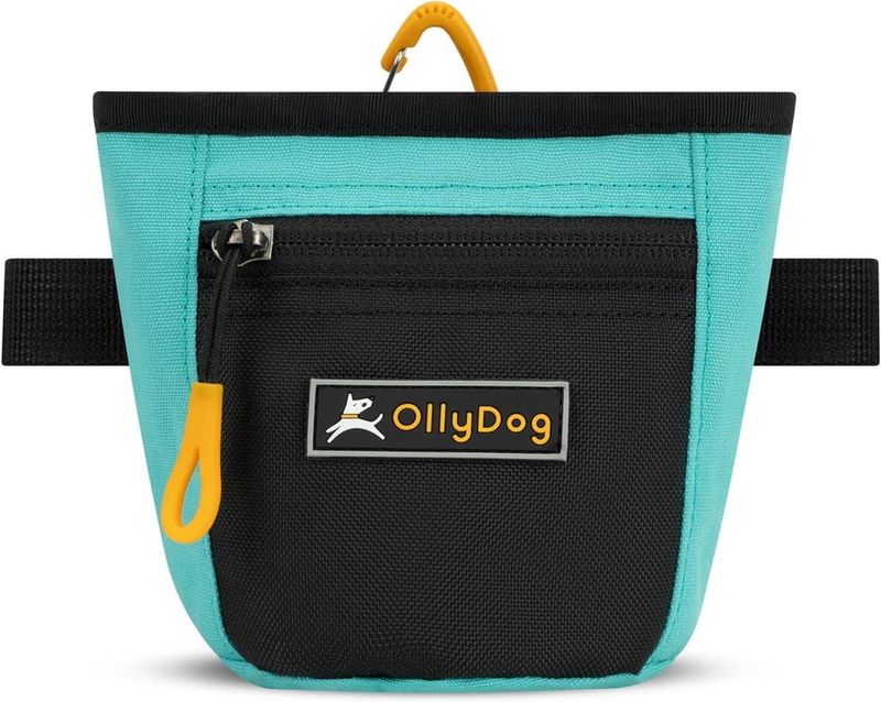 Goodie Treat Bag: Bright Aqua, os