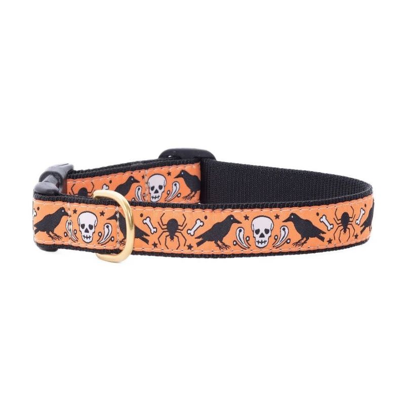 Nevermore Halloween Collar: Wide, M
