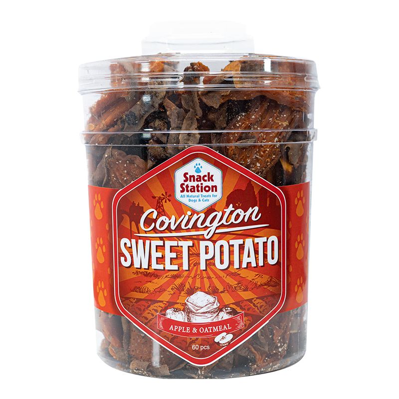 This &amp; That Snack Station: Sweet Potato Apple Oatmeal Chews, each