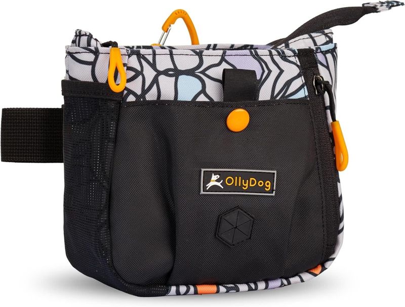 OllyDog BackCountry Day Bag: Bloom, os