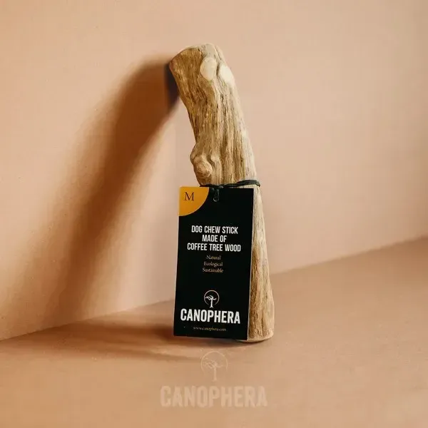 Canophera Coffee Wood Chew, M