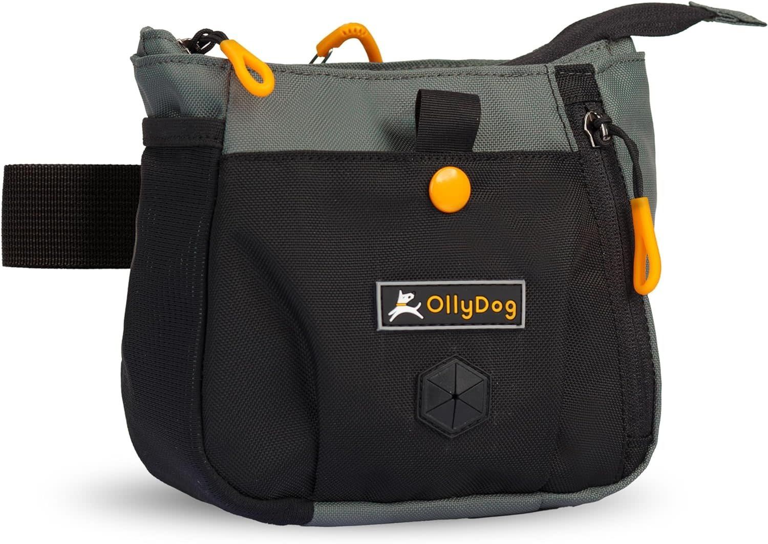 OllyDog BackCountry Day Bag: Juniper, os