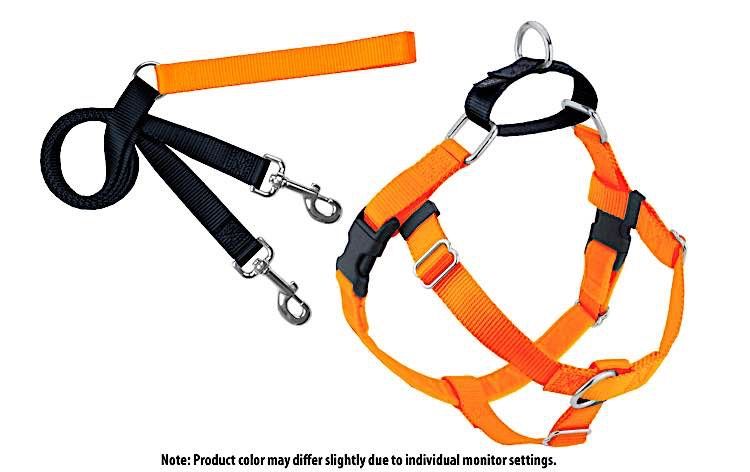 Freedom No-Pull Harness: Neon Orange, Size: 1&quot; Medium