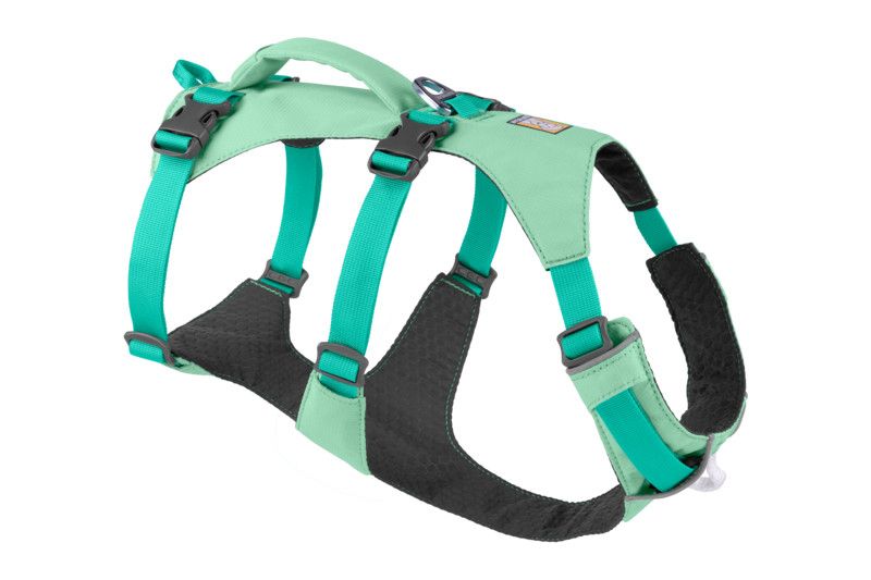 Flagline Harness: Sage Green, M