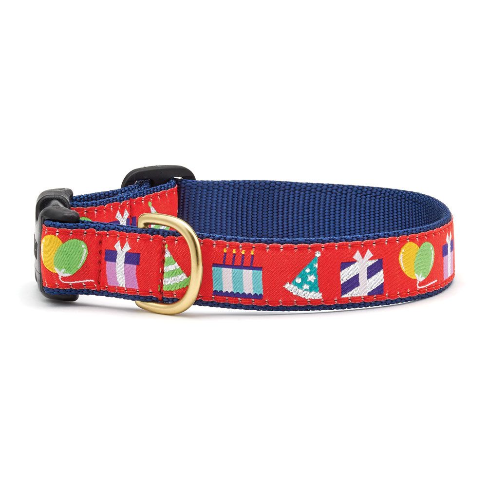 Birthday Gift Collar: Wide, XL