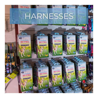 Harness
