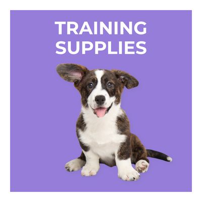 Training Supplies