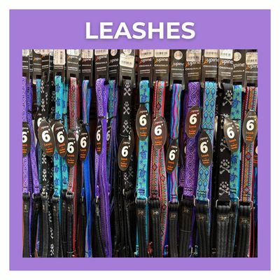 Leashes