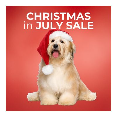 Christmas In July