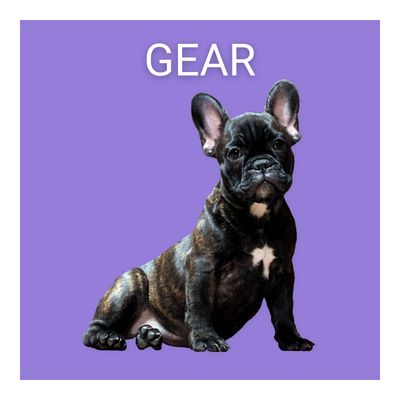 Collars, Harnesses, &amp; Leashes