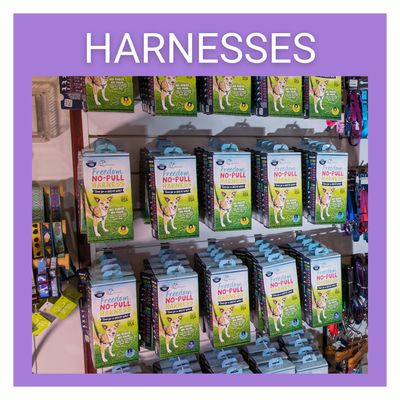 Harness