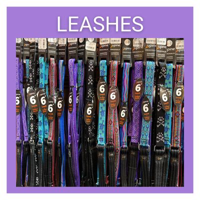 Leashes