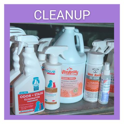 Clean Up