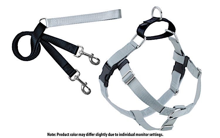 Freedom No-Pull Harness: Silver, Size: 5/8&quot; XS