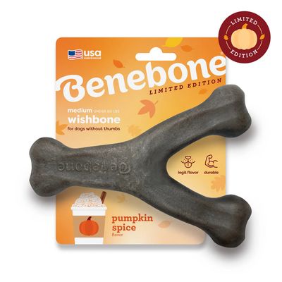 Benebone Wishbone Chew: Pumpkin Spice Medium