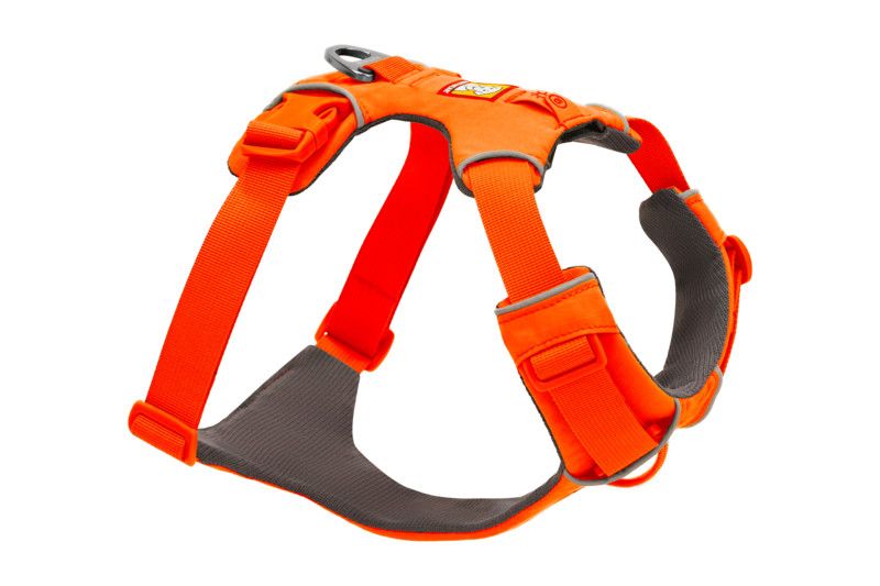 Front Range Harness: Blaze Orange, XS