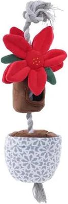 Tall Tails: Tug & Treat Poinsettia, 16 in