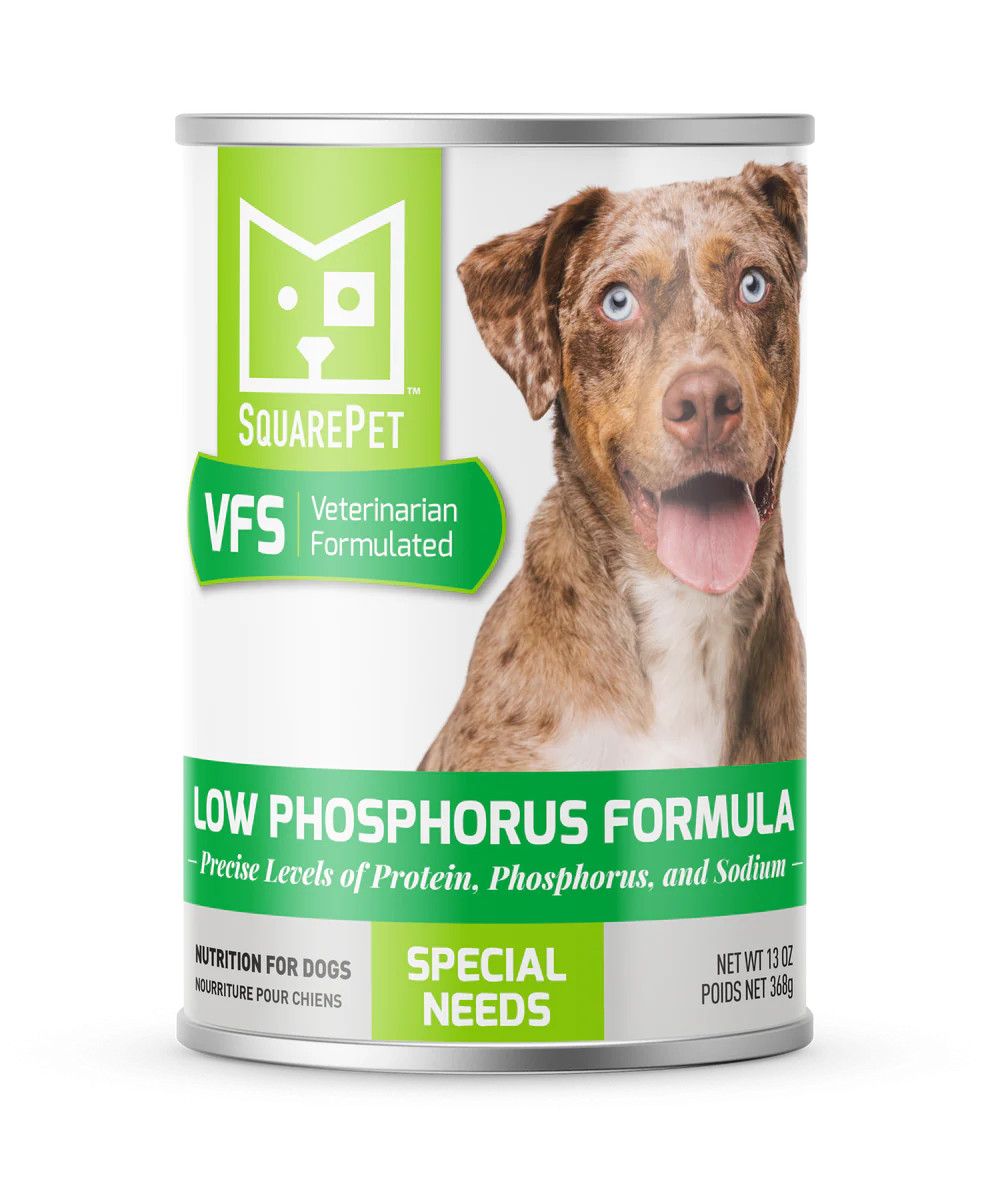 SquarePet Low Phosphorus Formula: Can, 13 oz
