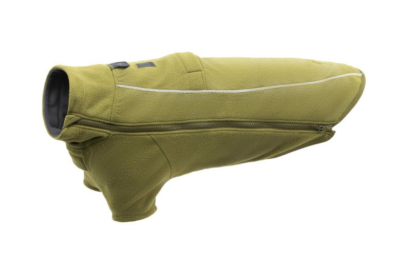 Climate Changer Fleece Jacket: Cedar Green, L