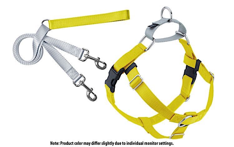 Freedom No-Pull Harness: Yellow, Size: 1" Medium