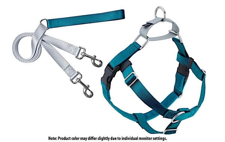 Freedom No-Pull Harness: Teal, Size: 5/8" XS