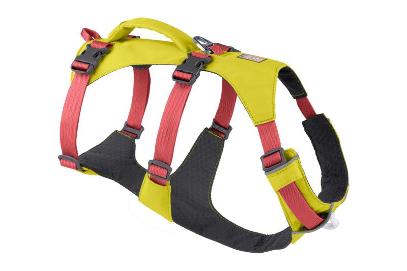 Flagline Harness: Lichen Green, M