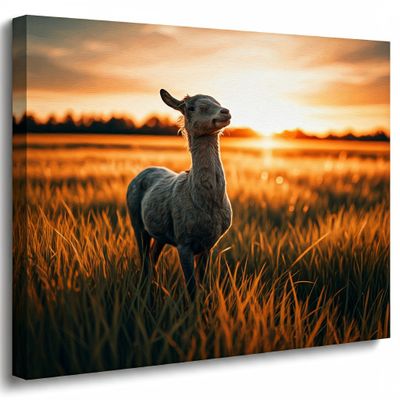 Fotoobraz Twojego zdjęcia na płótnie 70x70