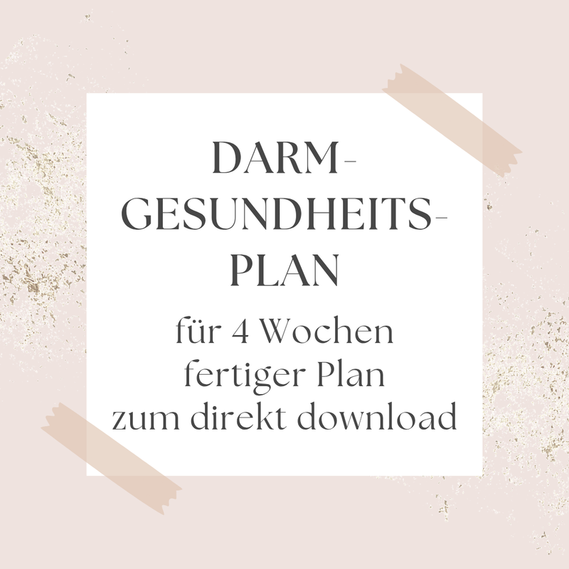 4 Wochen Darmgesundheitsplan fertiger Plan