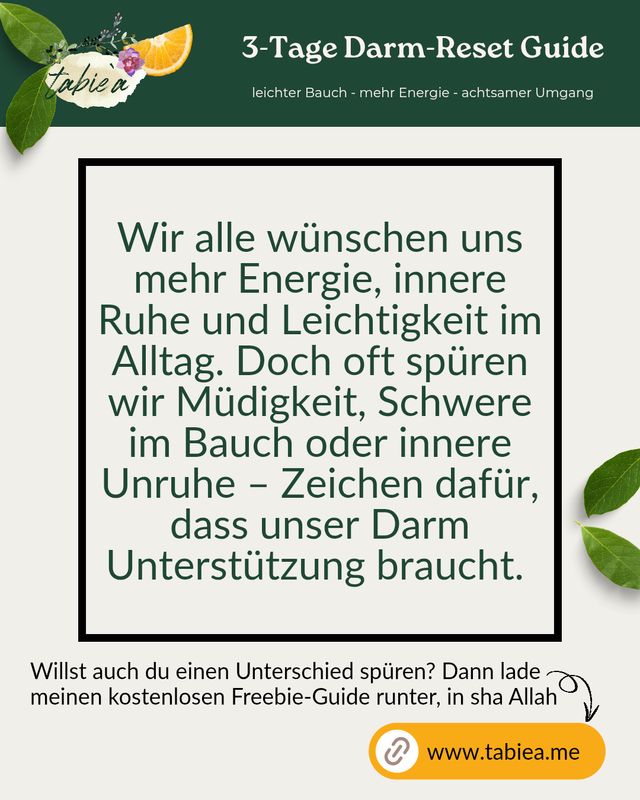 3-Tage Darm-Reset Guide