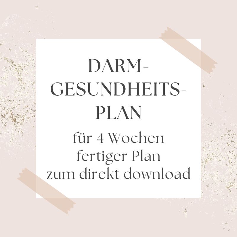 4 Wochen Darmgesundheitsplan fertiger Plan