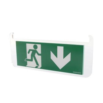 Adurolight® pictogram bord noodverlichting, acrylaat, pijl naar onder