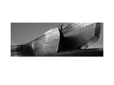 Bilbao / Muzeum Guggenheima w Bilbao
