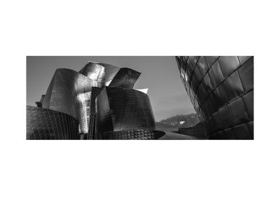 Bilbao / Muzeum Guggenheima w Bilbao