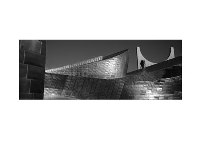 Bilbao / Muzeum Guggenheima w Bilbao