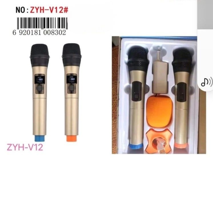ZYH-V12 MICROPHONE