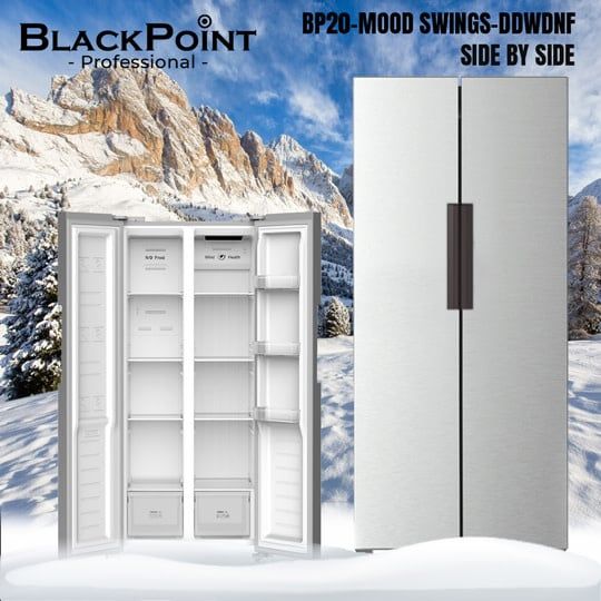 BP20-MOOD SWINGS-DDWDNF BLACKPOINT FRIDGE--SIDE BY SIDE STEEL