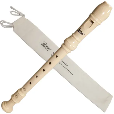 Musical Instrument