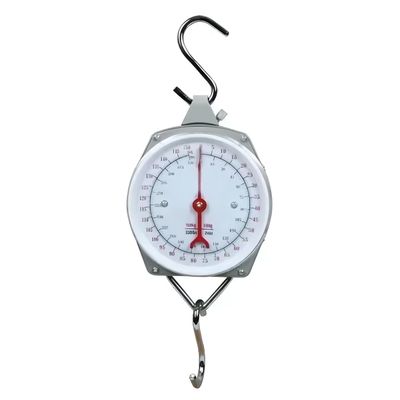 XT-100 HANGING SCALE
