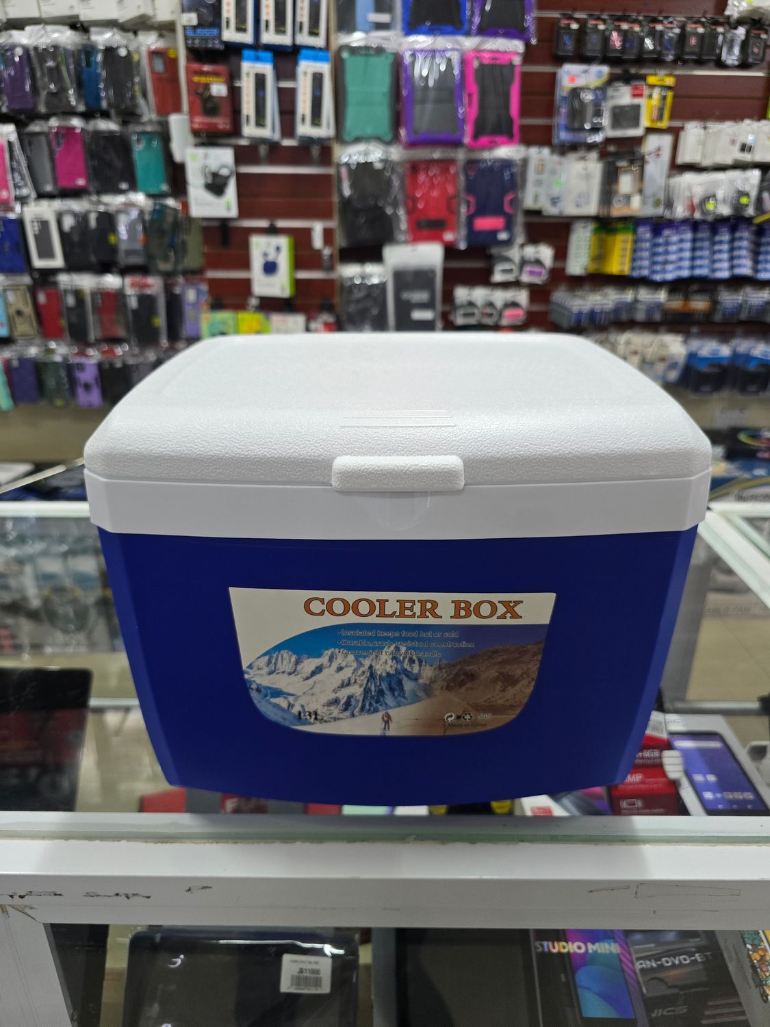 13L-JH539  IGLOO   (BLUE &amp; WHITE)