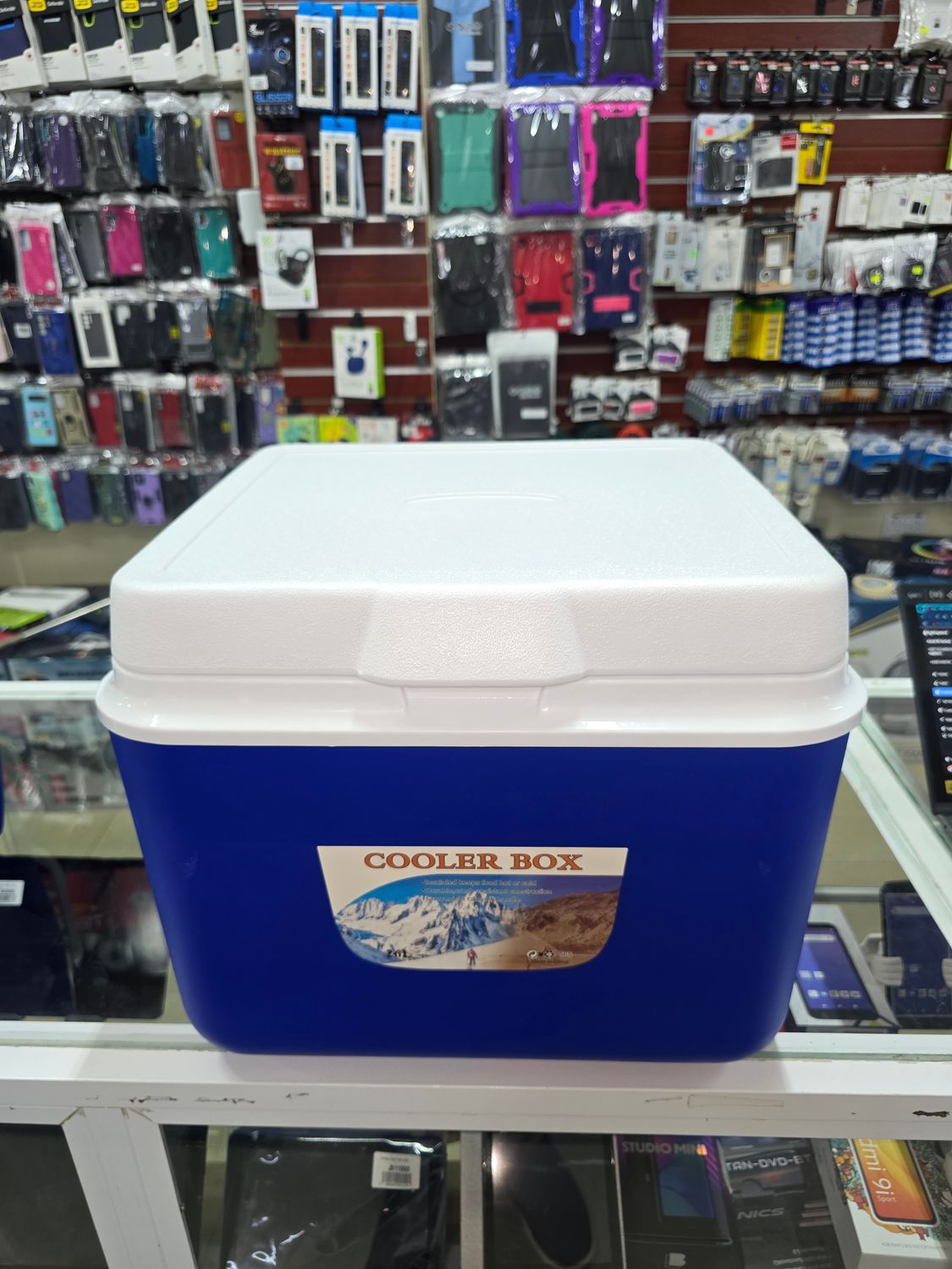 26L-JH539  IGLOO   (BLUE &amp; WHITE)