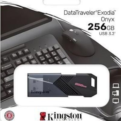 Kingston DataTraveler Onyx - USB flash drive - 256 GB - USB 3.2 Gen 1 - matte black