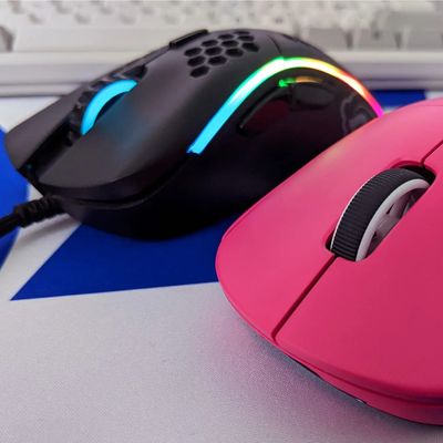 Mouse
