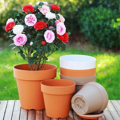 Flower Pot