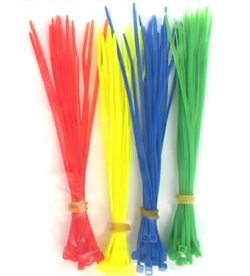 S071-10  NYLON CABLE TIES