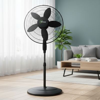 Standing Fan