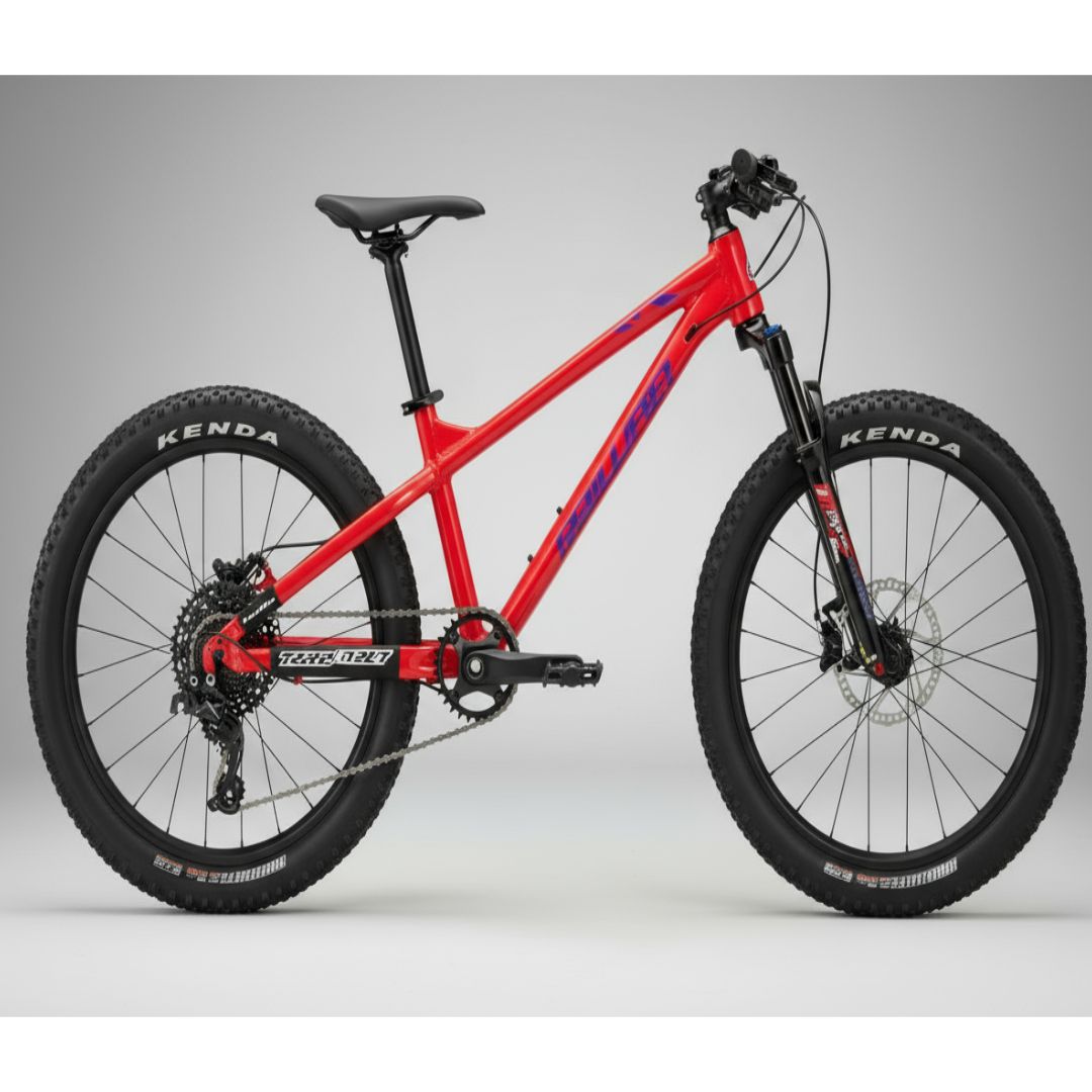 SX140-20 BLUE/RED/GREEN BICYCLE 20&quot;