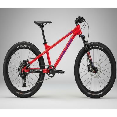 SX140-20 BLUE/RED/GREEN BICYCLE 20&quot;