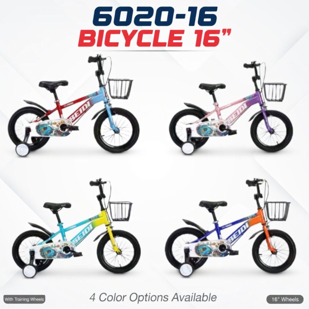 6020-16 BICYCLE 16"