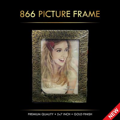 866 PICTURE FRAME